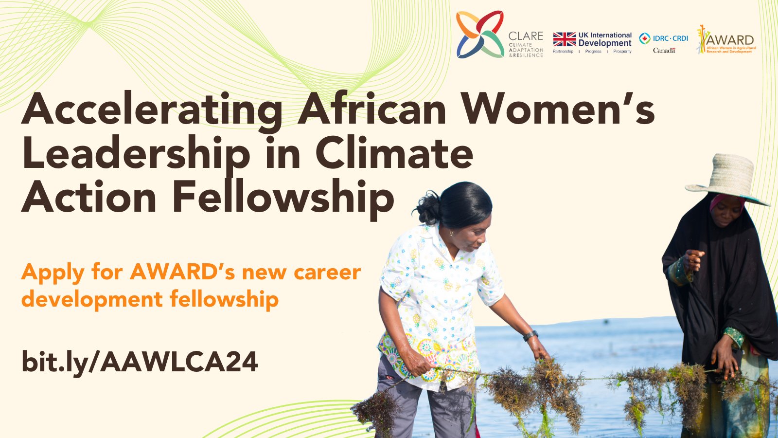 Call for proposals: World Climate Research Programme (WCRP) 2024 Global South Fellowship (focus on Africa)